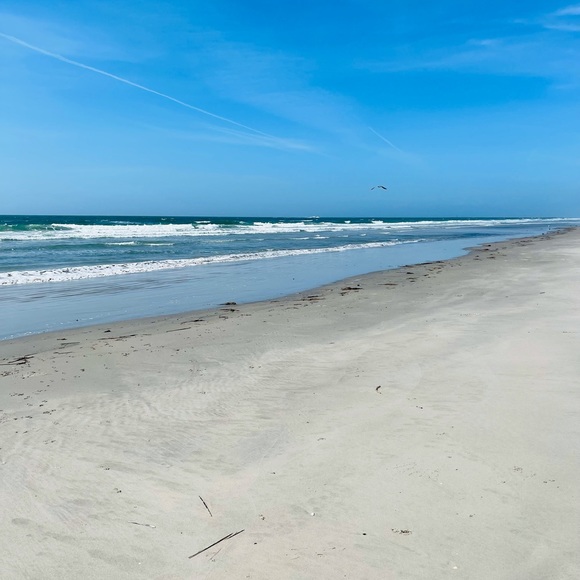 Meet your Posher, Amanda - Picture 1 of 1